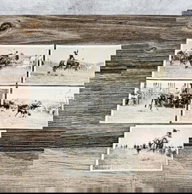 Livingston Montana Rodeo RPPC Postcards