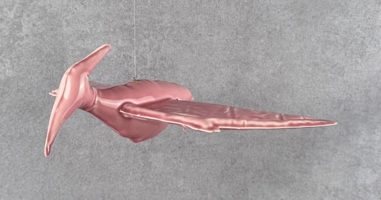 Brett Kern Inflatable Pottery Pterodactyl