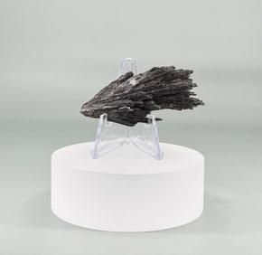 Black Kyanite Crystal
