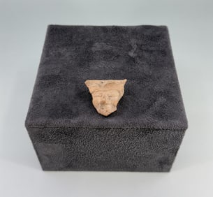 Ancient Indus River Terracotta Head