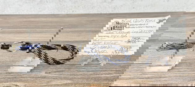 Deer Lodge Prison Montana Horsehair Keychain