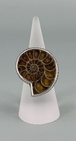 Sterling Silver Fossil Ammonite Ring