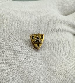 10K Gold Fraternal Pin