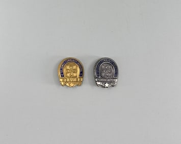 St James Hospital Butte Montana Service Pins