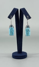Bella Luce Sterling Silver Larimar Earrings