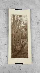Harry Bruce Wiswall Estes Park Colorado Photo