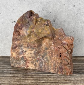 Arizona Rainbow Petrified Wood Lapidary Material