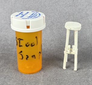 Folk Art Stool Sample Humorous Gag Gift