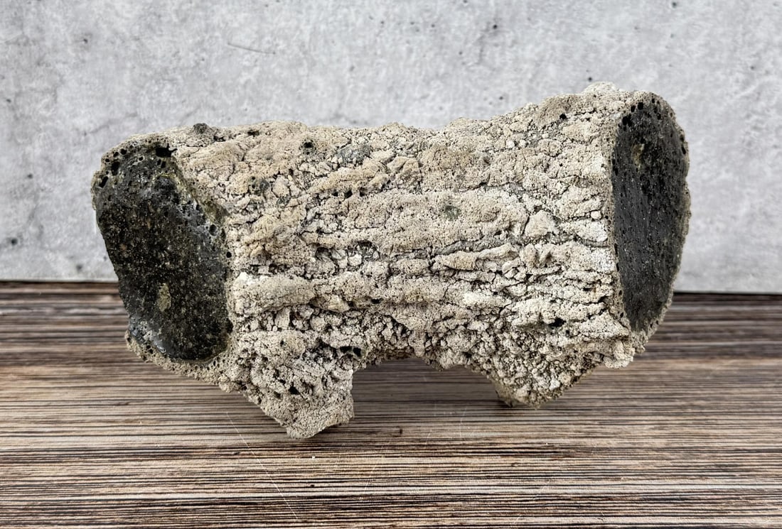 Obsidian Lava Limb Cast: 5" by 2 5/8" by 2". 413.2 grams.