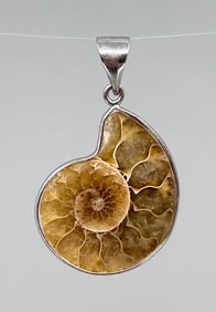 Fossil Ammonite Necklace Pendant