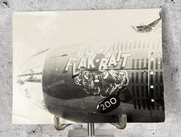WW2 Bomber Airplane Plane Nose Art Photo