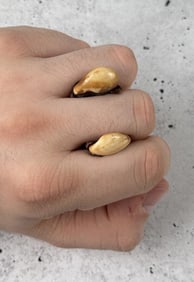 Montana Bull Elk Teeth