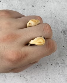 Montana Bull Elk Teeth