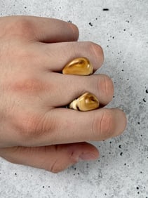 Montana Bull Elk Teeth