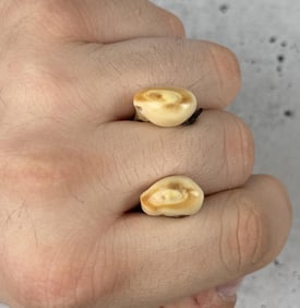 Montana Bull Elk Teeth