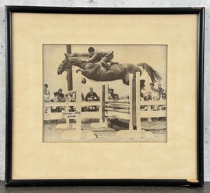 The Hun Show Jumping Horse Photo