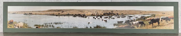 Ronald Klein Cattle Drive Print