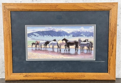 Larry Zabel Brood Mares at Valley Garden Ranch