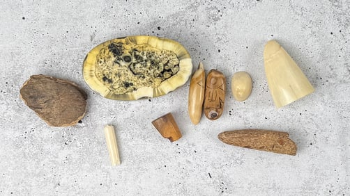 Group Of Alaska Fossil & Scrimshaw Items