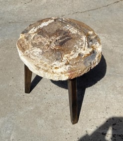 Zandra Petrified Wood Slab Table