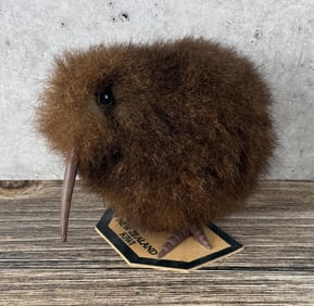 Alexander Gregory New Zealand Kiwi Bird