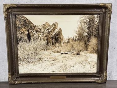 Howard Clinton Tibbitts Yosemite Park Photo