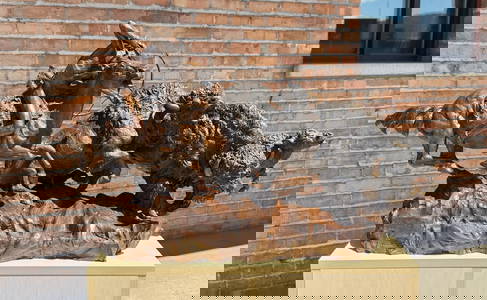 Lorenzo Ghiglieri Need For Buffalo Bronze
