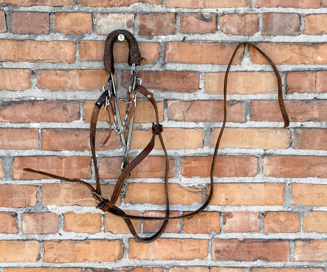 Cowboy Headstall and Horse Bit: Nice set.