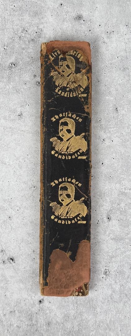 Facts About the Candidate Theodore Roosevelt: Unusual book in several languages. Author Signed. 1904