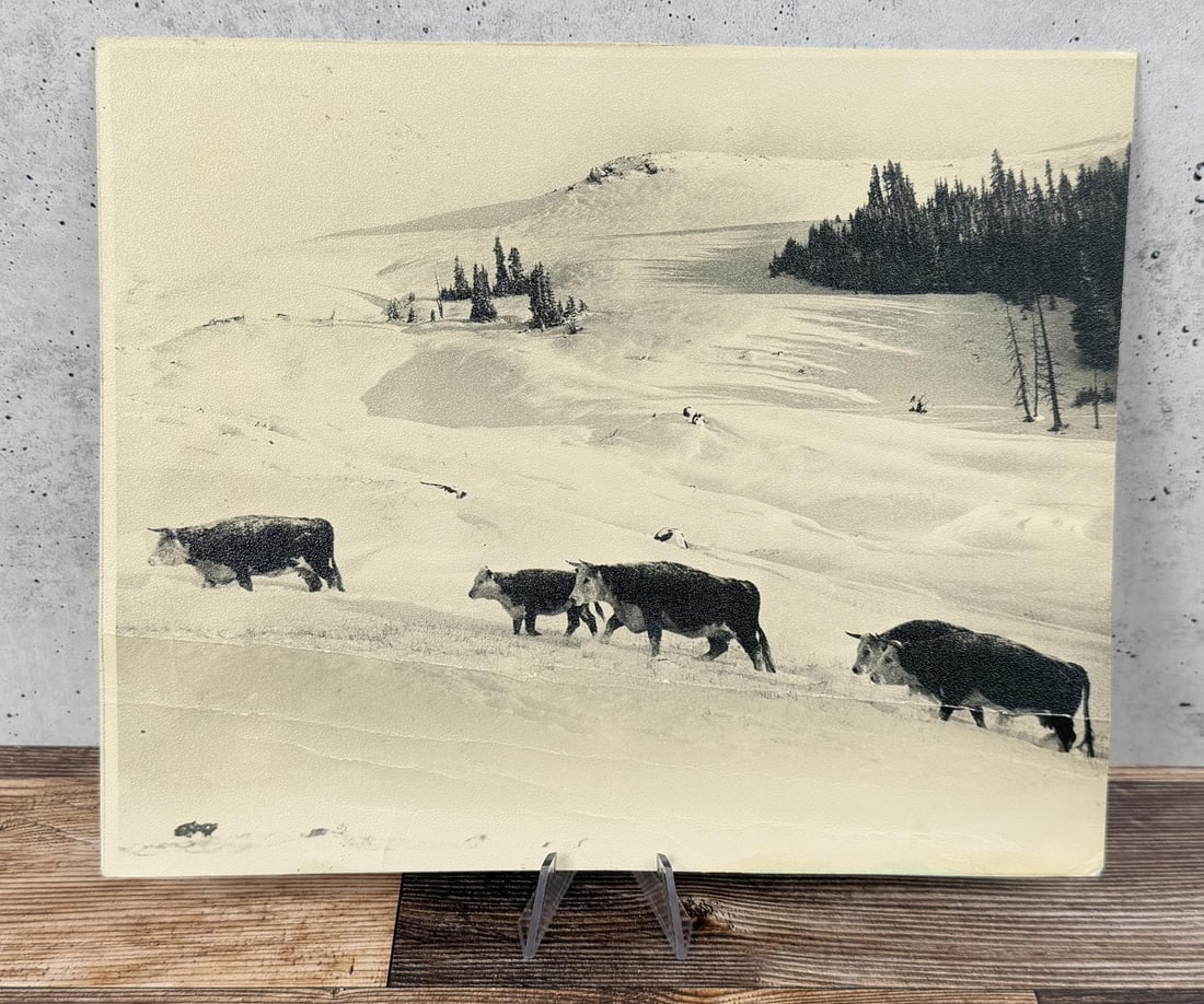 Charles Belden Pitchfork Ranch Wyoming Photo (1 of 3)