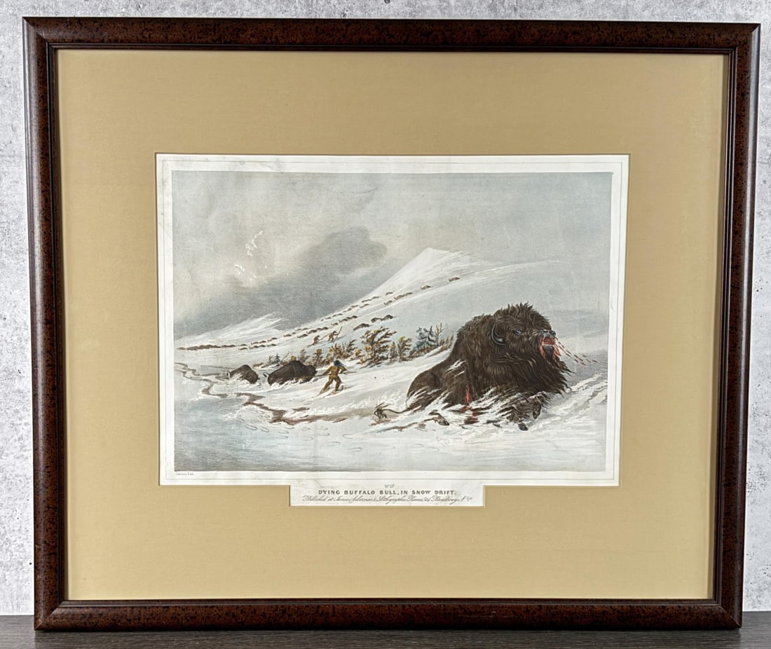 Dying Buffalo Bull in Snow Drift George Catlin: George Catlin 1844. 24 1/2" by 29" framed.
