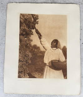 Edward Curtis Gathering Hanamh Papago Photogravure: Gathering Hanamh - Papago Plate 49. From copyright 1907 photograph by Edward Curtis The North American Indian Portfolio Volume Two. Published by John Andrew & Son. Holland Van Gelder paper. Measures 2
