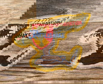 Vietnam War 38th Aviation Rattlesnake Patch