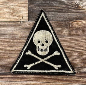 5th Air Force 31st Bomb Squadron Patch