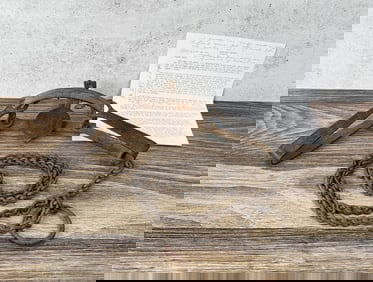 Wiley Carroll S. Newhouse 4 Trap with Teeth