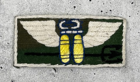 Vietnam War US Navy Frogman Seal Patch