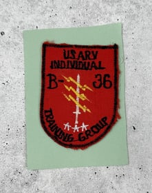 US Army USARV B 36 Individual Training Group Patch