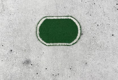 104th Military Ingelligence Airborne Patch