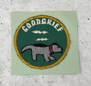 Vietnam War Air Force Good Grief Snoopy Patch