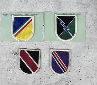 US Army Special Forces Beret Flashes Patches
