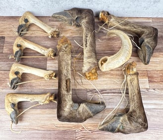 Group Of Deer & Moose Feet