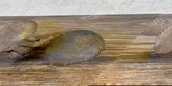 Eliptec Feathering Folding Propeller