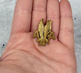 American Airlines Flight Attendant Hat Badge