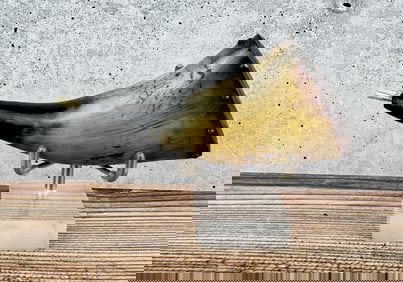 Antique Frontier Powder Horn