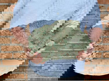 37875ct 16.7lb Jewelry Grade Turquoise Nugget