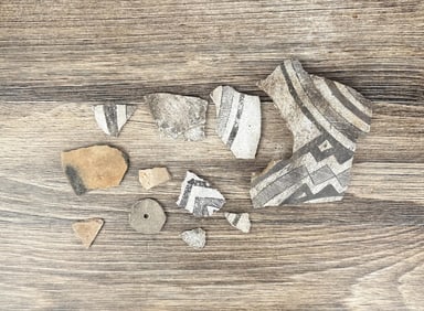 Ancient Anasazi Black on White Pot Shards