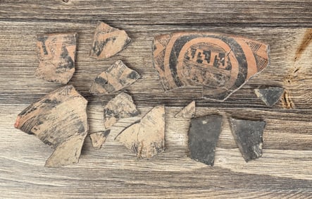 Ancient Anasazi Pot Shards