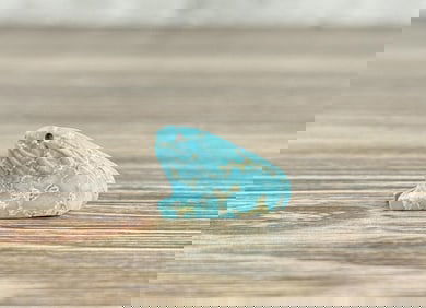 Zuni Carved Turquoise Rabbit Fetish