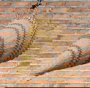 Paiute Native American Indian Burden Basket