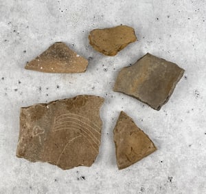 Ancient Anasazi Pot Shards